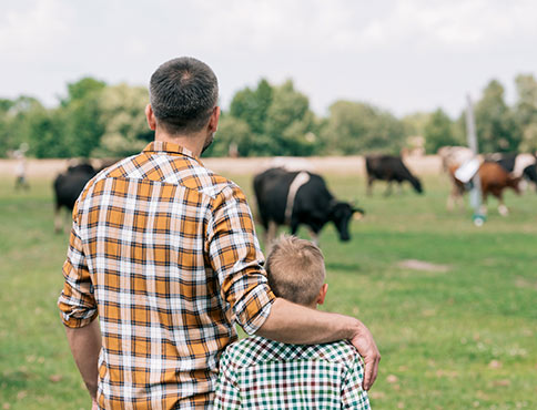Father and son look at cattle in field.